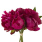 Peony Bundle Beauty 10"