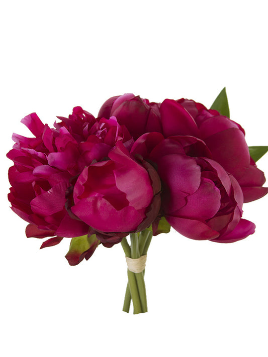 Peony Bundle Beauty 10"