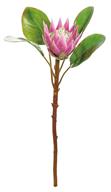 King Protea Pink 20"
