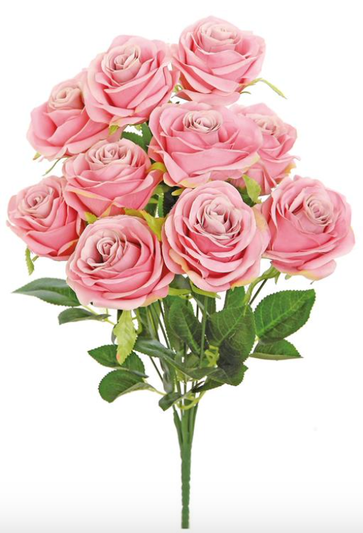 Bridal Rose Bush 18"